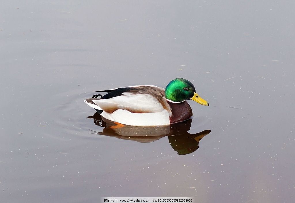 社交媒体项目展示